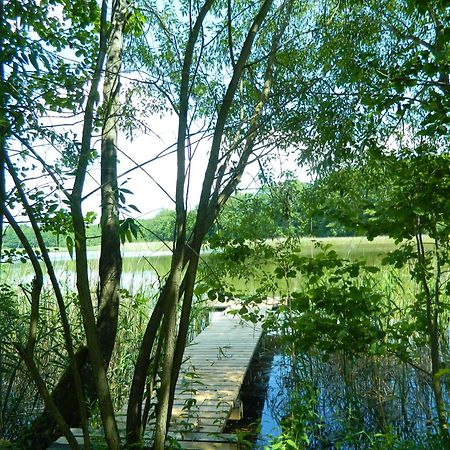 Siedlisko Agroturystyczne Villa Mrągowo Exteriör bild
